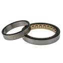 SKF NU 1020 M/C3 Cylindrical Bore Roller Bearing, 100 mm ID, 150 mm OD, 24 mm Width, Flanged Race Type NU Series