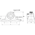 NSK-RHP Cast Iron Self-Lube Pillow Block Bearing 25 mm ID, Taper Bore, ISO H7 NP25