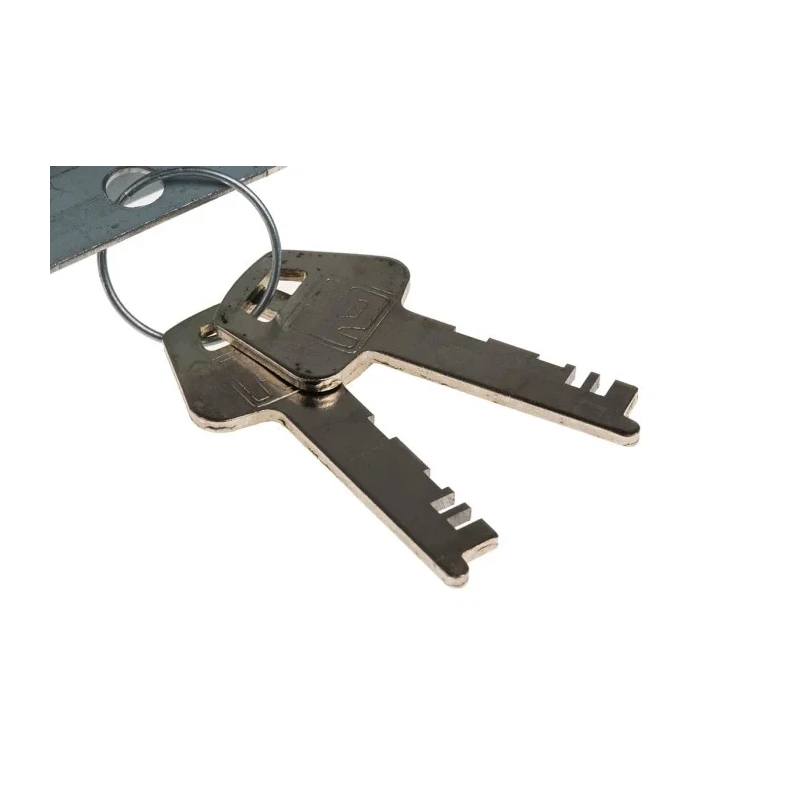 Euro-Locks a Lowe & Fletcher group Company Steel Padlockable Zinc Plated Door Bolt 67 mm 2303-5100CA