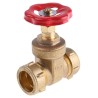 Conex-Banninger Brass Gate Valve 1.1 in Inlet and Outlet Port Size, 5 Bar Maximum Operating Pressure HH-1042500--