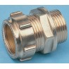 RS PRO Brass Pipe Fitting 3/8 In BSPP Male Compression Coupler Male G 10 mm 3/8 In 796-795