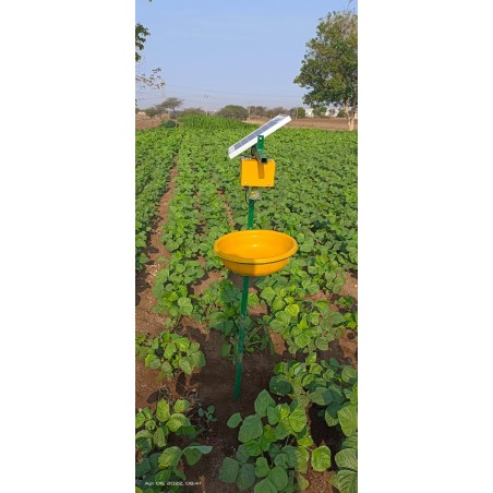 solar-insect-light-trap