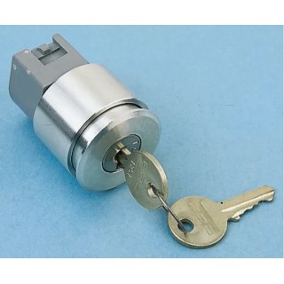 EAO IP65 Momentary 3-Position Key Switch, Screw Terminal, 24V DC/240V AC