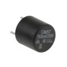 Schurter Non-Resettable Fuse Radial 500mA 250V AC Thermoplastic Body MST 250 Series 0034.6612