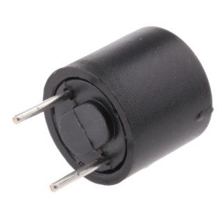 Schurter Non-Resettable Radial Fuse 1A 250V AC Thermoplastic Body MST 250 0034.6615