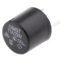 Schurter Non-Resettable Radial Fuse 1A 250V AC Thermoplastic Body MST 250 0034.6615
