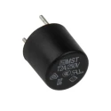Schurter Non-Resettable Radial Fuse 2A 250V AC Thermoplastic Body MST 250 Series 0034.6618
