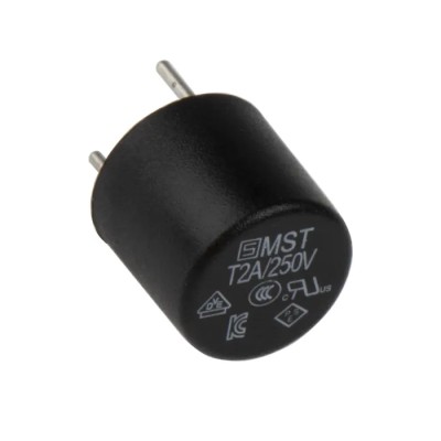 Schurter Non-Resettable Radial Fuse 2A 250V AC Thermoplastic Body MST 250 Series 0034.6618