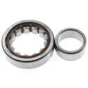 SKF Cylindrical Roller Bearing, Single Row, 30 mm ID, 62 mm OD, Fibreglass Reinforced Polyamide Cage NU 206 ECP