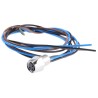 Lumberg Automation Sensor Actuator Cable Male 3 Way Straight to Female 34 Way Unterminated 500mm RKMF 3/0.5M
