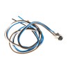 Lumberg Automation Male 4 way Straight to Female 34 way Unterminated Sensor Actuator Cable 500 mm RKMF 4/0.5M