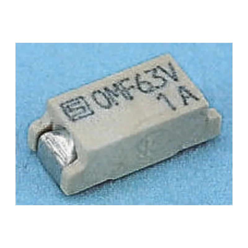 Schurter Non-Resettable Fuse 2A 63 V AC 63V DC Fast Acting Thermoplastic Body 3402.0012.11
