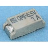 Schurter Non-Resettable Fuse 2A 63 V AC 63V DC Fast Acting Thermoplastic Body 3402.0012.11