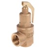 Nabic Valve Safety Products Pressure Relief Valve 5 Bar 1 in BSP Threaded N-542-025 5 BAR