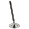 Nu-Tech Engineering M16 Adjustable Foot 80 mm Diameter Stainless Steel 1750 kg Static Load Capacity 10 ° Tilt Angle A200/011