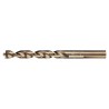 DeWALT High Speed Steel Metal Drill Bit 6 mm Drill Point Diameter, 93 mm Overall Length DT5048-QZ