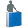 RS PRO Steel Floor Standing Storage Cabinet 1.02m Width x 1m Height x 430mm Depth Blue/Grey 3 Shelves Lockable 424-5443