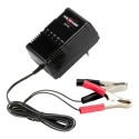 Ansmann Lead Acid Battery Charger Compatible with 2 V, 6 V, 12 V, 24 V Batteries 900 mA Charge Current 2.4 to 24 Ah 9164016