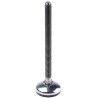 Nu-Tech Engineering M12 50 mm Diameter Stainless Steel Adjustable Foot, 350 kg Static Load Capacity, 3.5° Tilt Angle A105/008