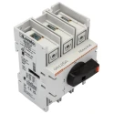 Lovato Electric 3-Pole DIN Rail Screw Switch Disconnector IP65 125A 55 kW GA125A