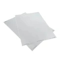 Avery Silver Adhesive Heavy Duty Label Sheet Laser Printable 96mm x 50.8mm Pack of 20 L6012-20