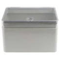Rose Mini Polyglass Series ABS Wall Box with IP65 Transparent Door, 250 mm x 200 mm x 150 mm IP65