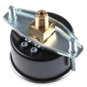 WIKA 50 mm 1/4 in G Threaded Pressure Gauge 2.5 bar 7834018