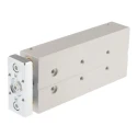 Festo Pneumatic Guided Cylinder 12mm Bore, 100 mm Stroke, Double Acting, Through Hole Mount, Wrought DFM-12-100-P-A-GF