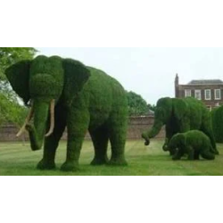 green-decor-garden-topiary-for-decoration-wild-animals-frame-39169