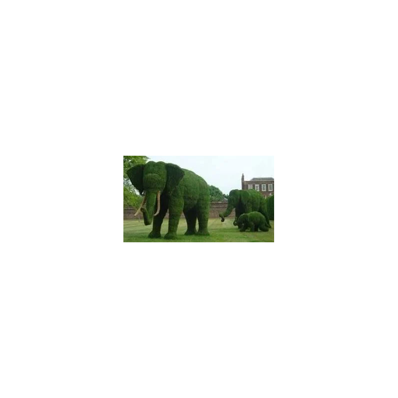 green-decor-garden-topiary-for-decoration-wild-animals-frame-39169