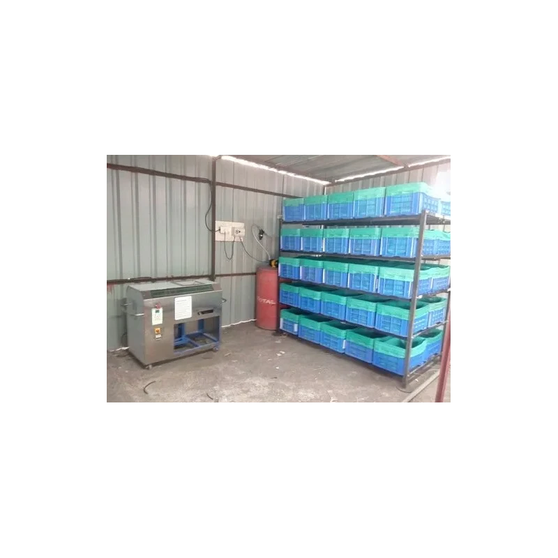 single-curing-system-44131