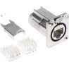 Neutrik EtherCon Cat6a D Shape IDC Connector for Use with etherCON Connectors