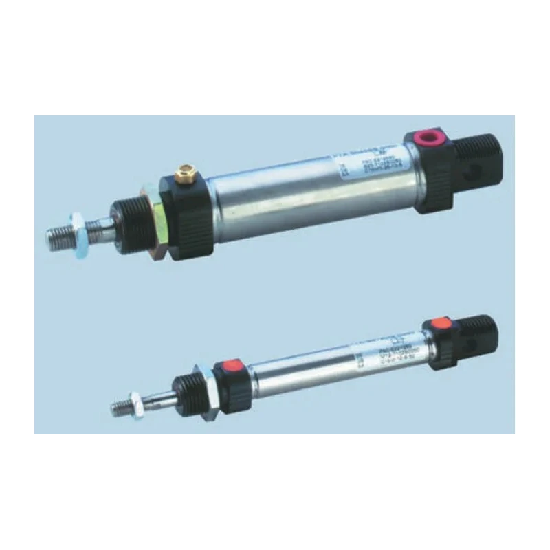 Parker 250 mm Pneumatic Piston Rod Cylinder P1A Series Double Acting Both Ends Tapped Stainless Steel P1A-S025DS-0250