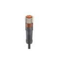Lumberg Automation Sensor Actuator Cable Female 3 Way Straight to Unterminated 2 m RKMV 3-224/2M