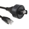 Bulgin Buccaneer for Data Cat5e Ethernet Cable, 3 m, Screened, Shielded, Black Polyurethane Jacket