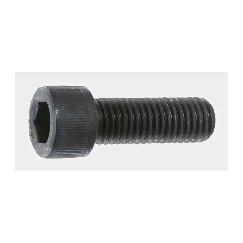 Yahata Neji Black Oxide Steel Hex Socket Cap Tamper Proof Security Screw M6 x 10 mm M6X10