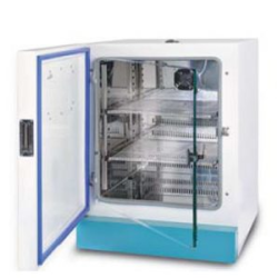 incubator-stream-series-7251-250-ss-39565