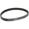 Contitech Synchrobelt HTD Timing Belt 66 Teeth, 330 mm Length, 9 mm Width, Glass Cord Rubber 330 5M 9