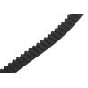 Contitech High Torque Rubber Timing Belt 120 Teeth, 960 mm Length, 20 mm Width 960 8M 20