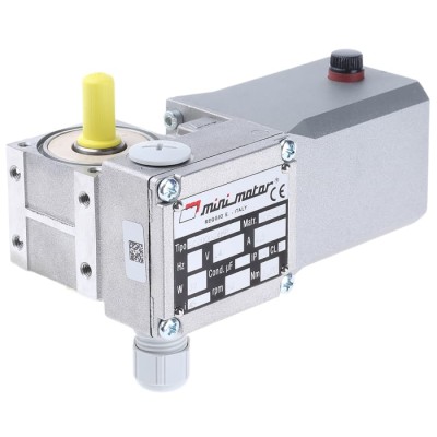 Mini Motor Brushed Geared DC Geared Motor 24V dc 37 W 3.8 Nm 62 rpm 9 mm Shaft Diameter BC2000 24 MP 45 B3