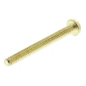 RS PRO Slot Pan Brass Machine Screw 30 mm M3 483-1432