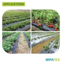  mipatex-20-micron-virgin-mulching-sheet-paper-for-agriculture-1m-x-100m-outdoor-garden-mulch-film-weed-control-sheet-44661-2