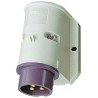 MENNEKES Industrial Power Connector 2P Wall Mount Right Angle, 16A, 20-25V IP44 Purple IP44