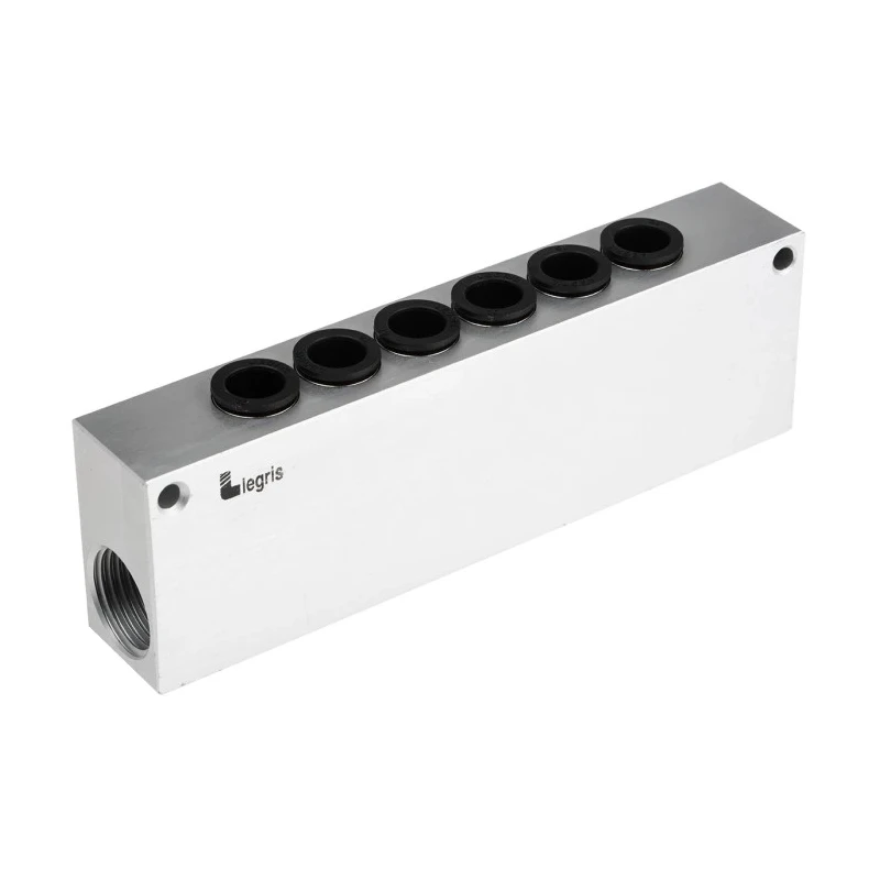Legris Aluminium Body Pneumatic Manifold 6 Station 1/2 in Push-in Port Female Thread G Series 3310 3310 10 21