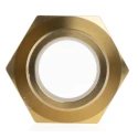 RS PRO Brass Hose Connector 25.4 mm ID, 25 bar Pressure, 1 inch G Male Threaded 506-7317