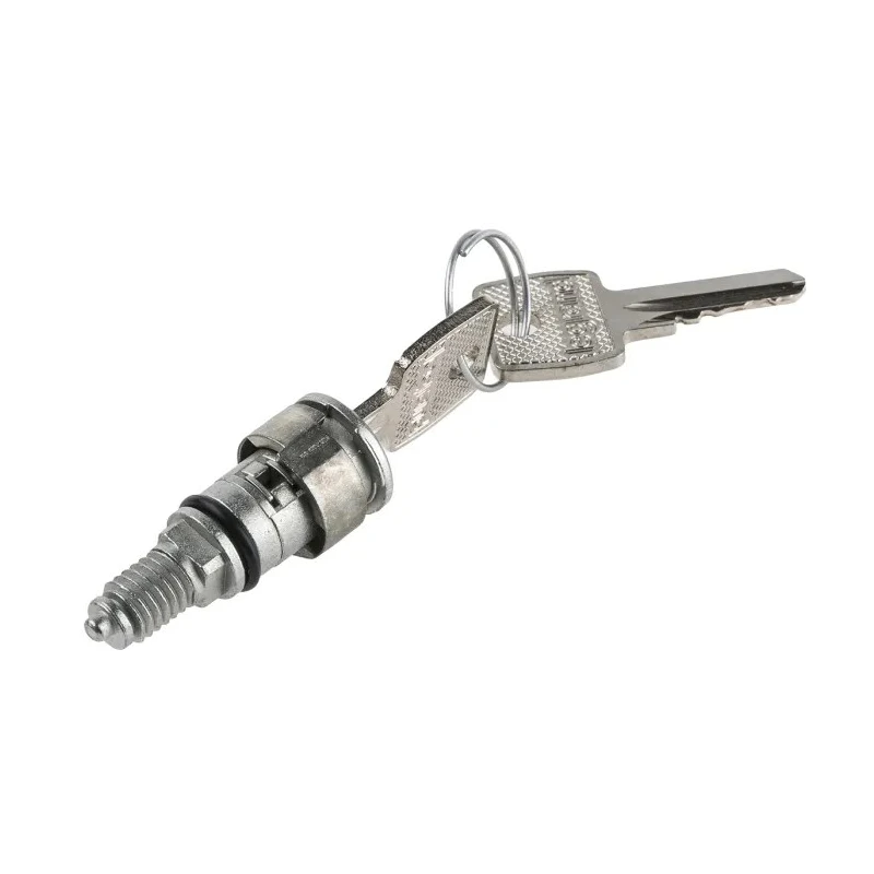 Legrand Key Barrel with 405 Barrel for Use with Atlantic Enclosure and Marina Enclosure 0 368 22