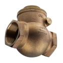 RS PRO Bronze Threaded Single Check Valve 2 in, 20 bar 510-3738