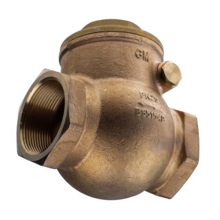 RS PRO Bronze Threaded Single Check Valve 2 in, 20 bar 510-3738