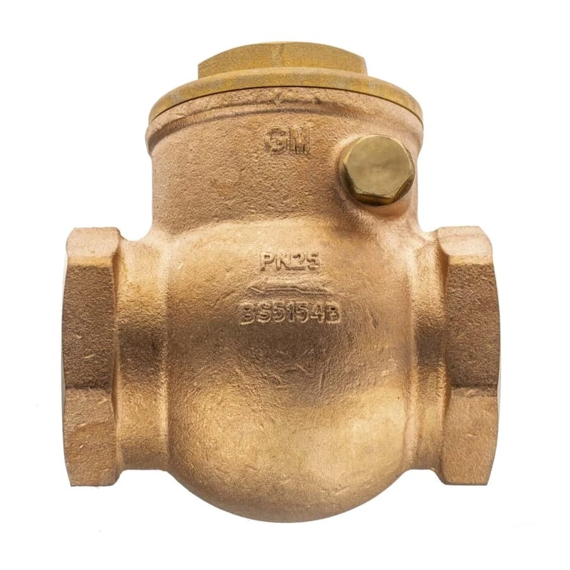 RS PRO Bronze Threaded Single Check Valve 2 in, 20 bar 510-3738