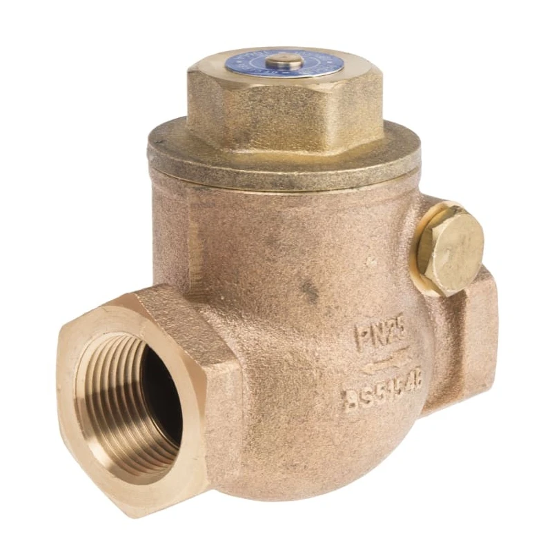 RS PRO Bronze Threaded Single Check Valve 3/4 in, 20 bar 510-3788